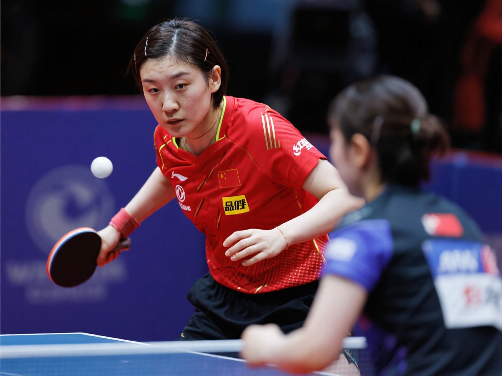 成对比的是 成对比的是